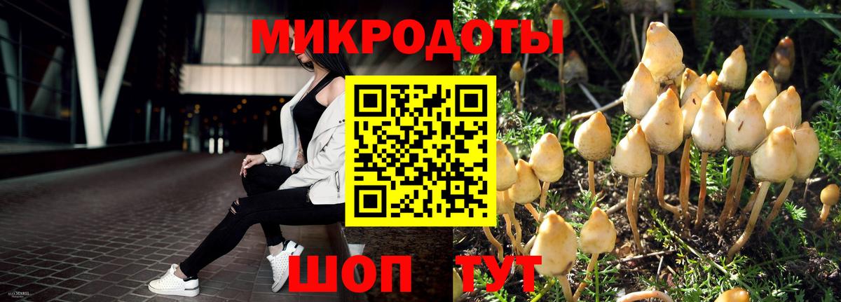 Пушкино  наркотики  Вход с VPN  Псилоцибиновые грибы прущие грибы  Галлюциногенные грибы Psilocybine cubensis 